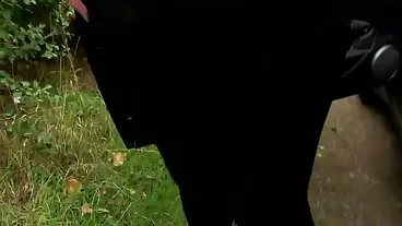 Ebano dai seni enormi cavalca un cazzo in bagno lesbiche mature italiane